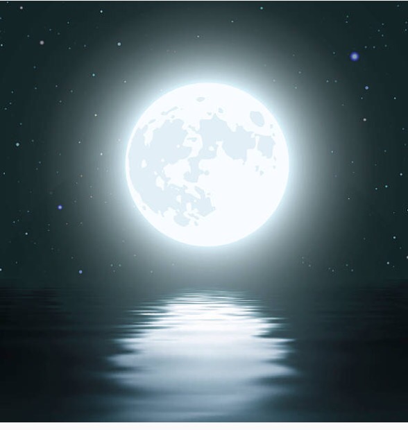 Live and Let&nbsp;Live