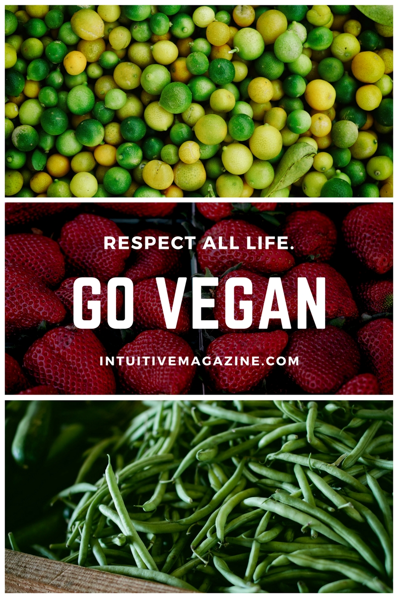 Go Vegan: Plant-Based&nbsp;Diet