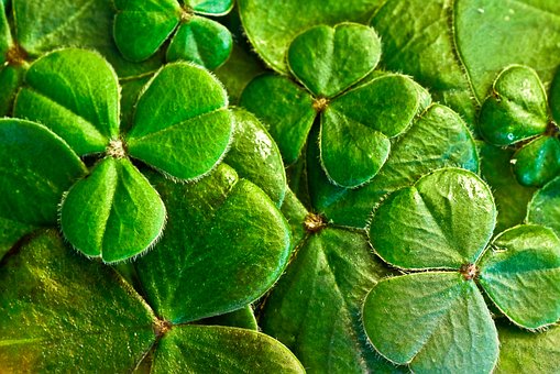 Lucky St. Patrick’s Day NEW&nbsp;MOON