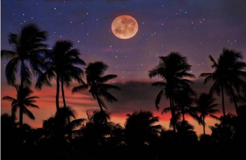 Full Moon in&nbsp;Scorpio